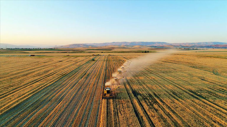 Rusya’nın tahıl hasadı 120 milyon tonu geçti